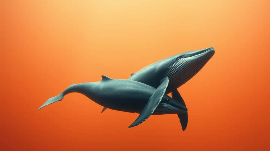 Macos Tahoe Whale Animation Wallpaper