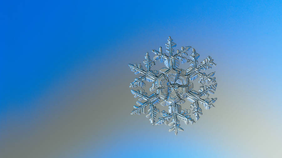 Macro Photo Of Frosted Snowflake Wallpaper