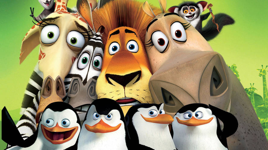 Madagascar Penguins With Animals Wallpaper
