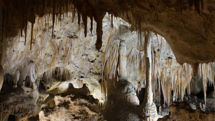 Magnificent Stalagmites And Stalactites Of Carlsbad Caverns National Park Wallpaper