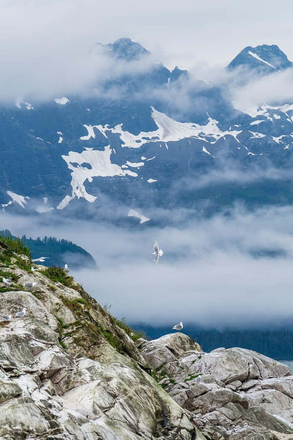 Majestic Aerial View Of Glacier Bay National Park Wallpaper