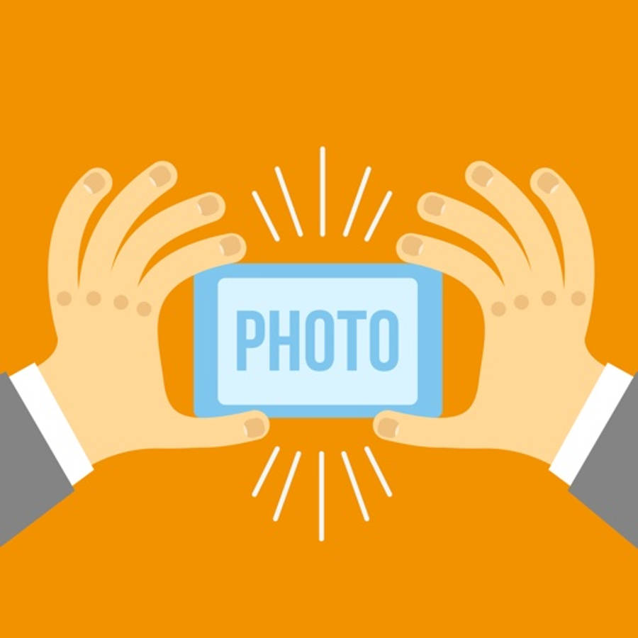 Majestic African Elephant Wallpaper