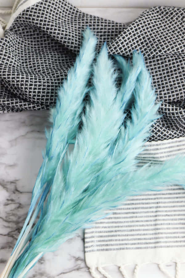 Majestic Beauty Of Blue Grass Fields Wallpaper