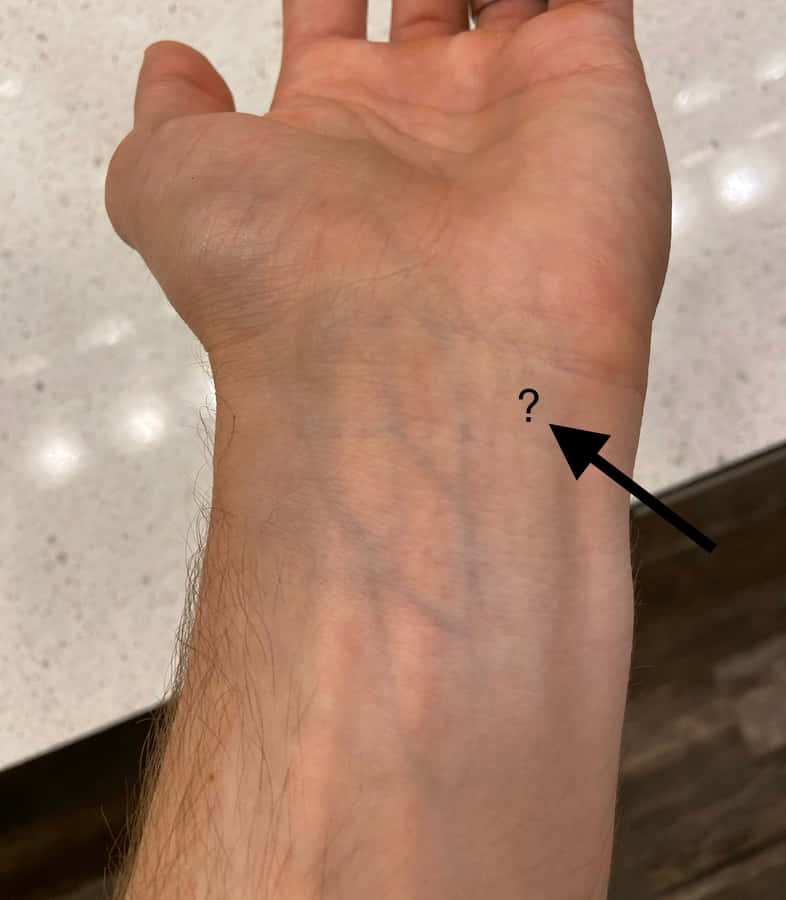 Majestic Blue Veins Surrounded By Lush Greenery Wallpaper