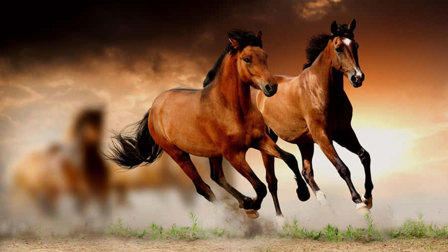 Majestic Brown Horse Galloping Wallpaper