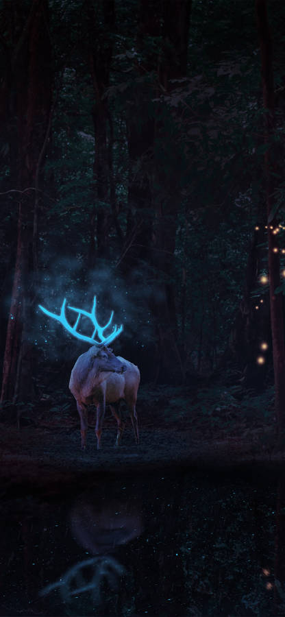 Majestic Deer On The Iphone Wallpaper