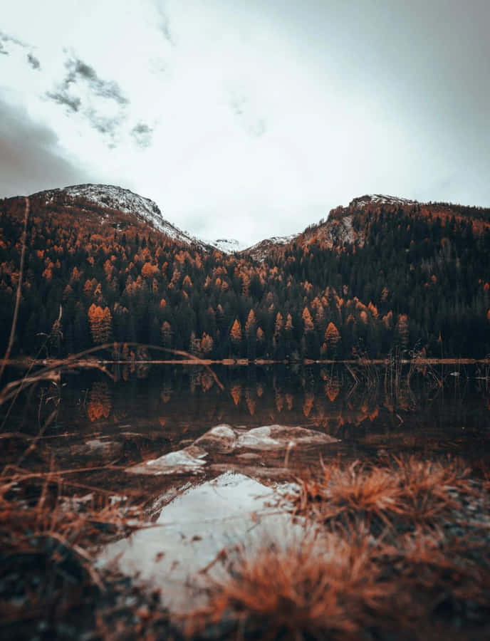 Majestic Fall Mountains Amidst Golden Foliage Wallpaper