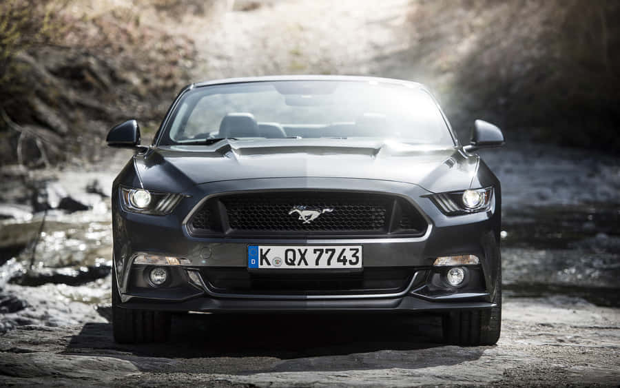 Majestic Ford Mustang Gt Convertible Cruising At Sunset Wallpaper