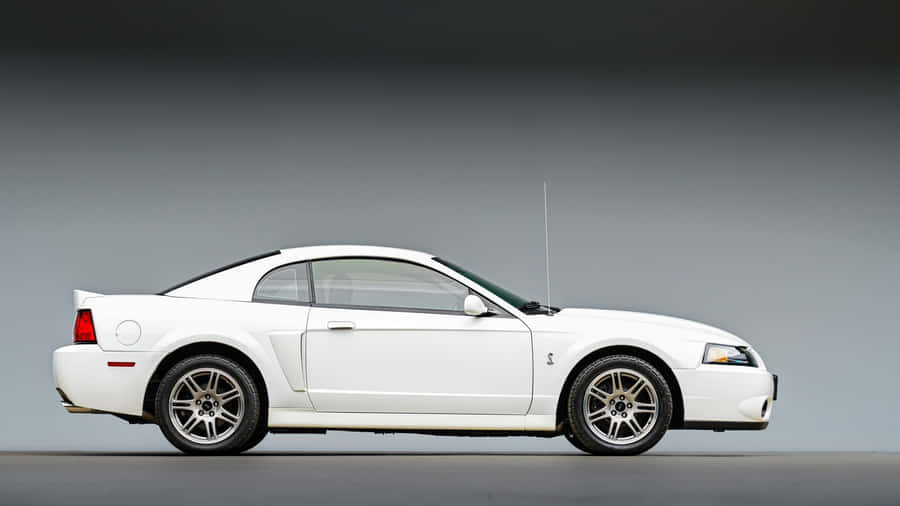 Majestic Ford Mustang Svt Cobra In High Definition Wallpaper
