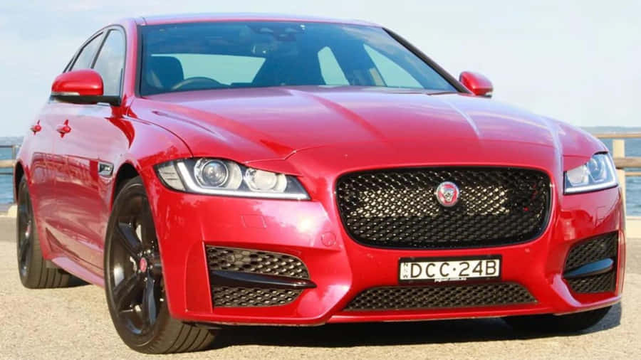 Majestic Jaguar Xf In Dynamic Sunset Wallpaper