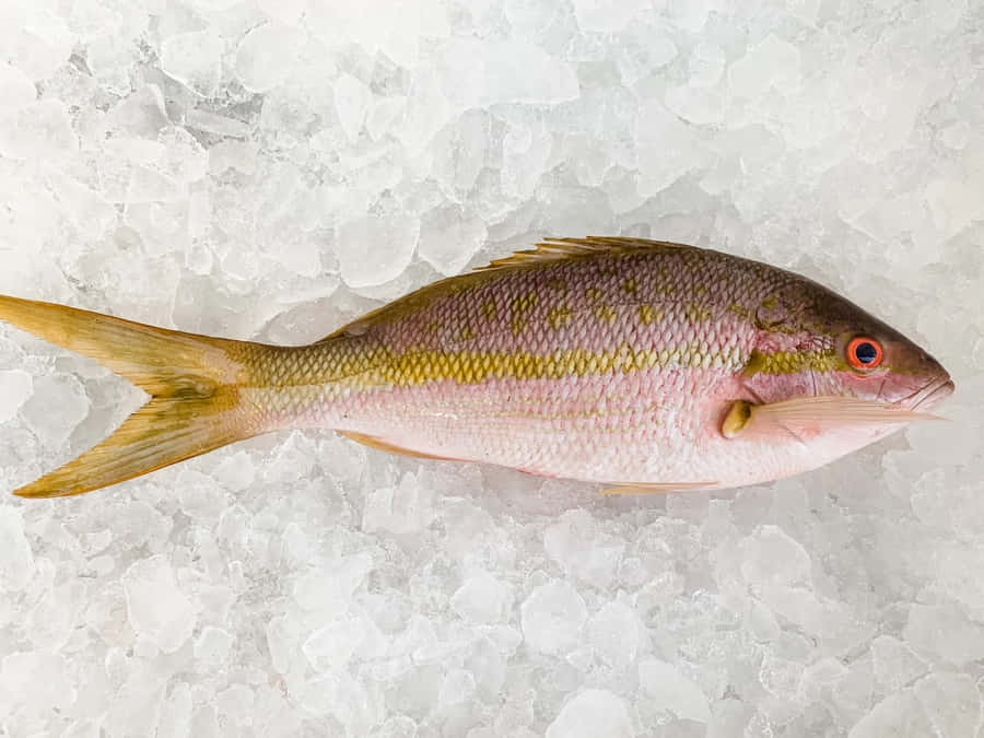 Majestic Oceanic Sunset Wallpaper