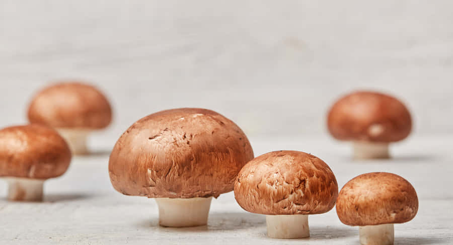 Majestic Sea And Sand Wallpaper