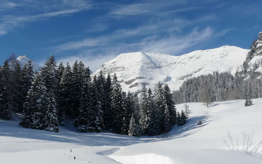 Majestic Snowy Landscape Wallpaper