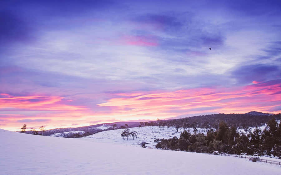 Majestic Snowy Landscape Wallpaper