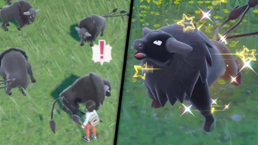 Majestic Tauros In Pokemon World Wallpaper