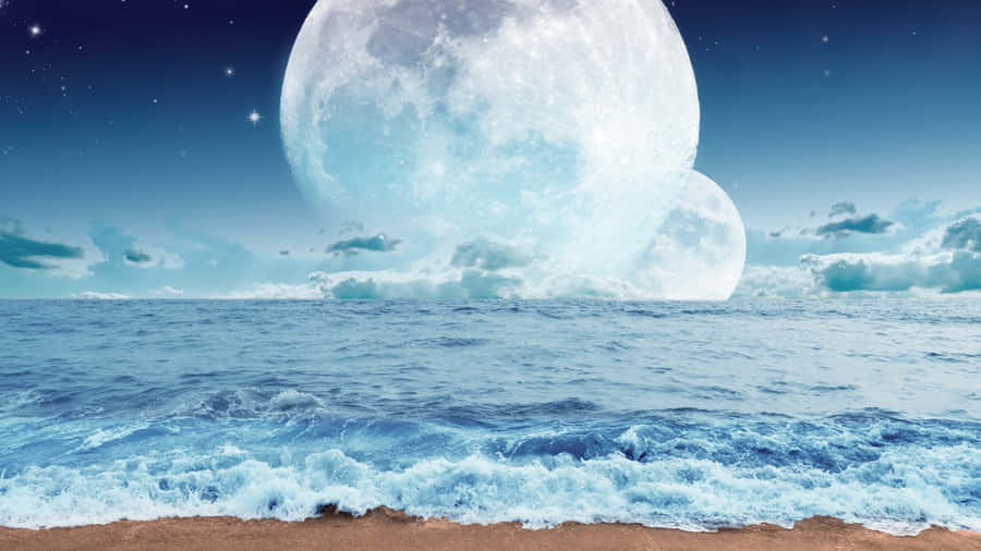 Majestic Underwater World Wallpaper