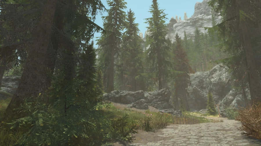 Majestic View Of Falkreath In Skyrim Wallpaper