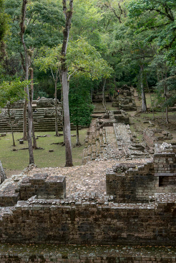 Majestic View Of Mayan Ruins Of Copan Wallpaper