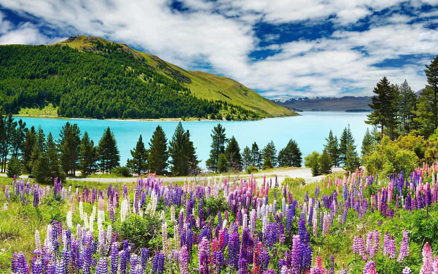 Majestic View Of Pristine Scenery In New Zealand Wallpaper