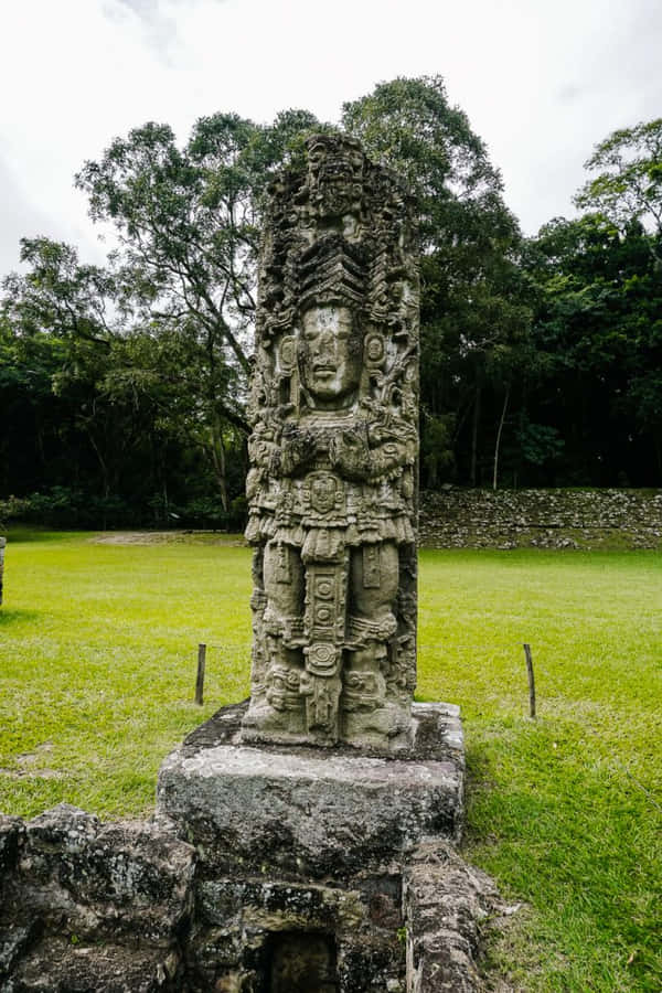Majestic View Of The Ancient Mayan Ruins Of Copan Wallpaper