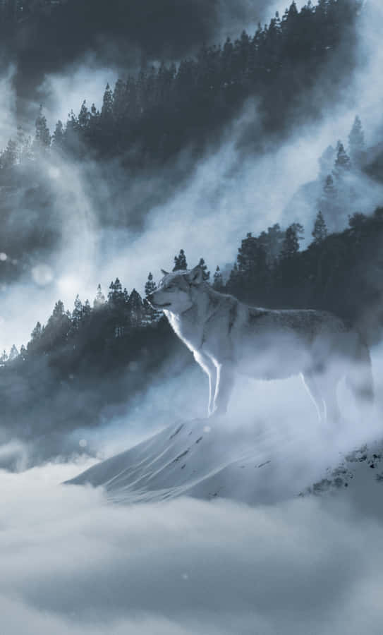 Majestic Wolf In Snowy Landscape Wallpaper