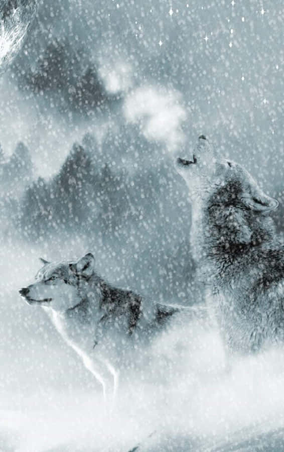 Majestic Wolf In Snowy Landscape Wallpaper