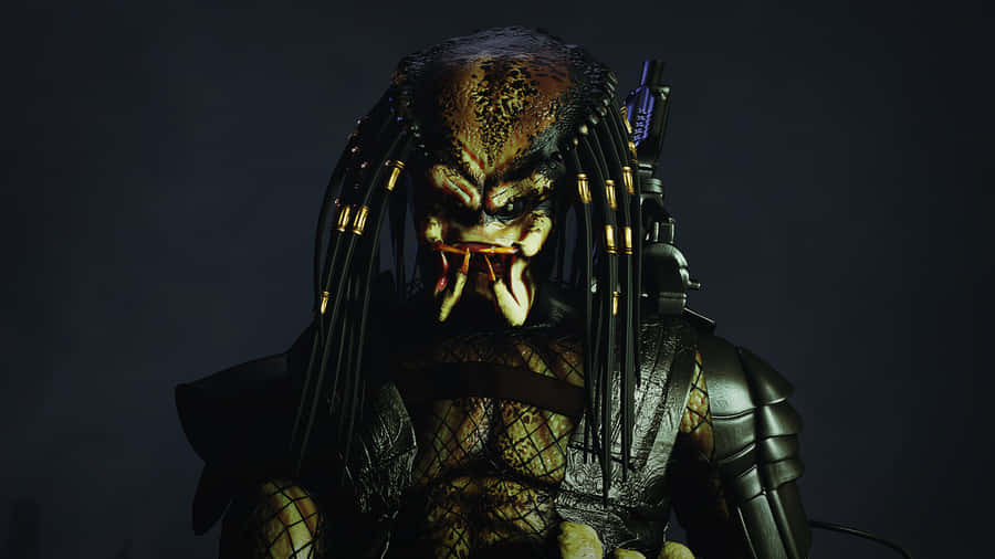 Majestic Wolf Predator On The Prowl Wallpaper