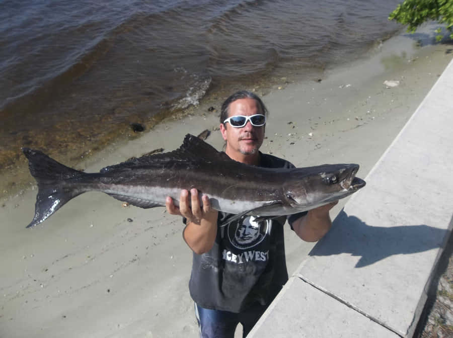 Man Holding Cobia Fish Wallpaper