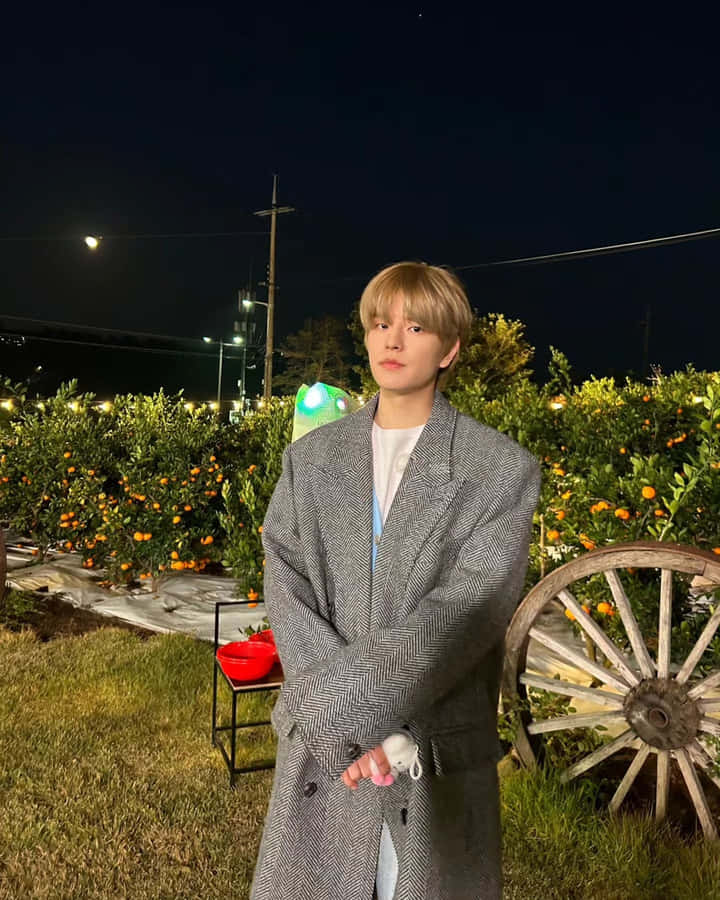 Manin Houndstooth Coat Night Orchard Wallpaper