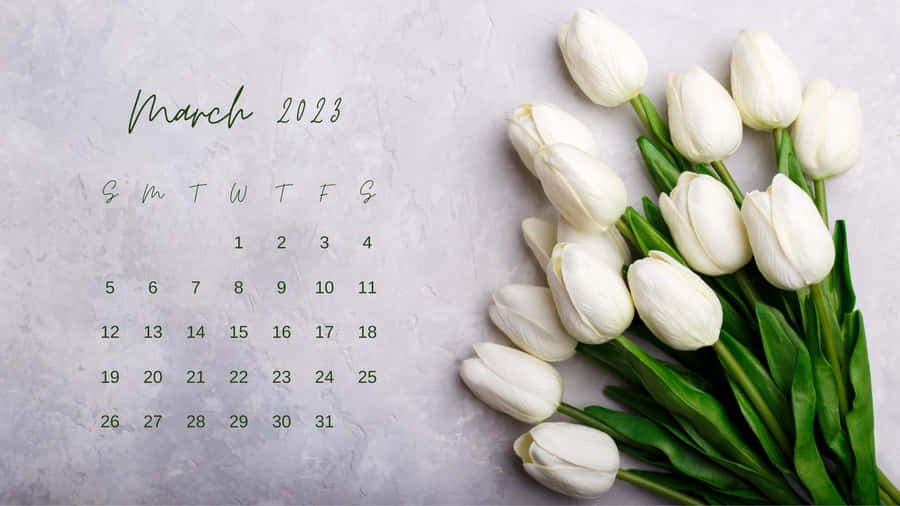March 2023 Calendar Wallpaper