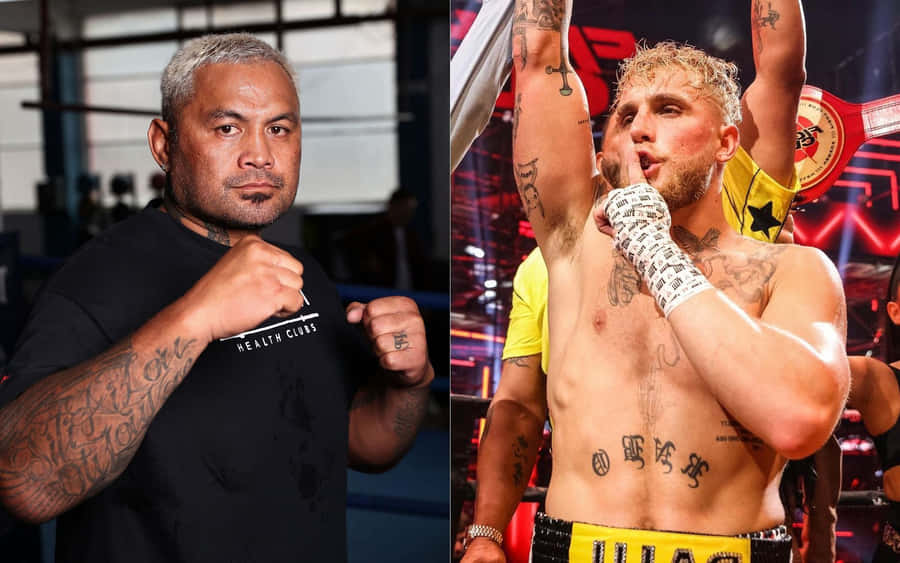 Mark Hunt Kick Boxing Champ Wallpaper