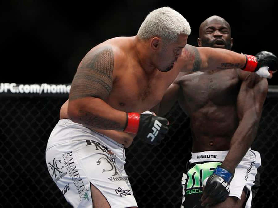 Mark Hunt Upper Cut Punch Wallpaper