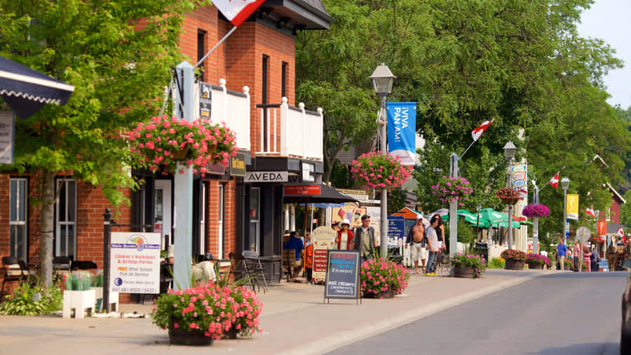 Markham Main Street Summer Bustle Wallpaper