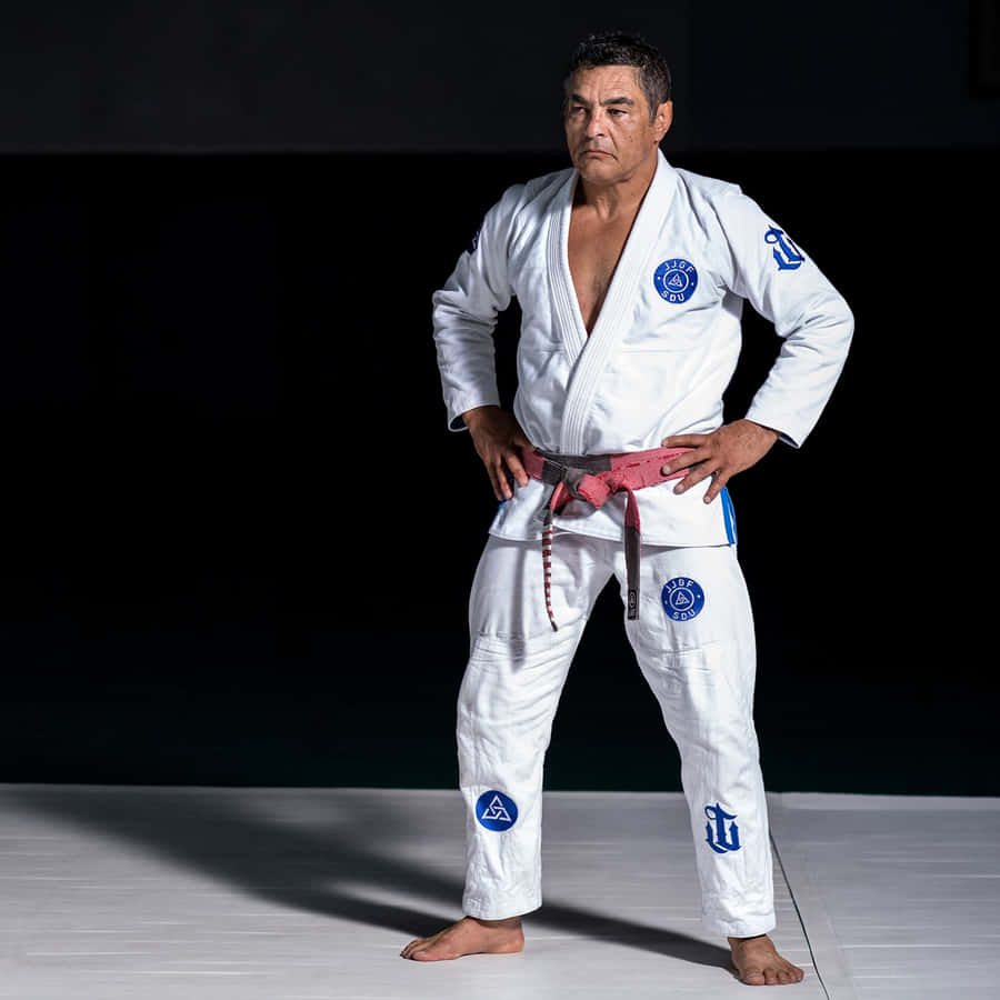 Martial Artistin Gi Pose Wallpaper