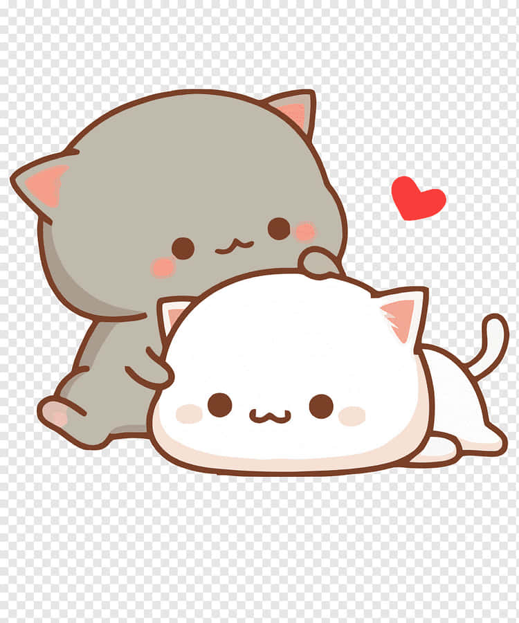 Matching Cat Pfp Pacify Wallpaper