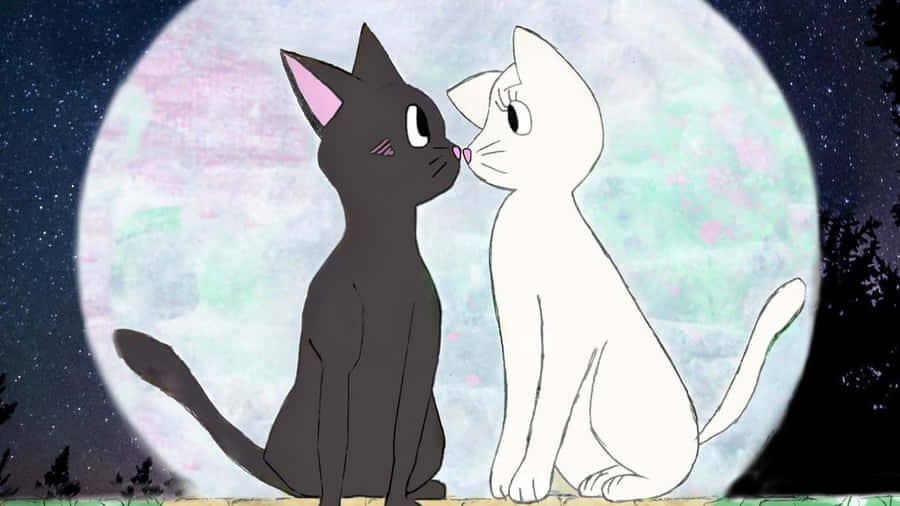 Matching Cat Pfp Sailor Moon Wallpaper