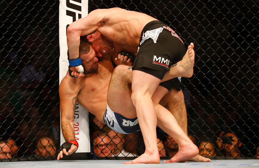 Mauricio Rua Also Known As Shogun Wallpaper