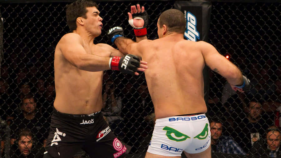 Mauricio Rua And Lyoto Machida Wallpaper