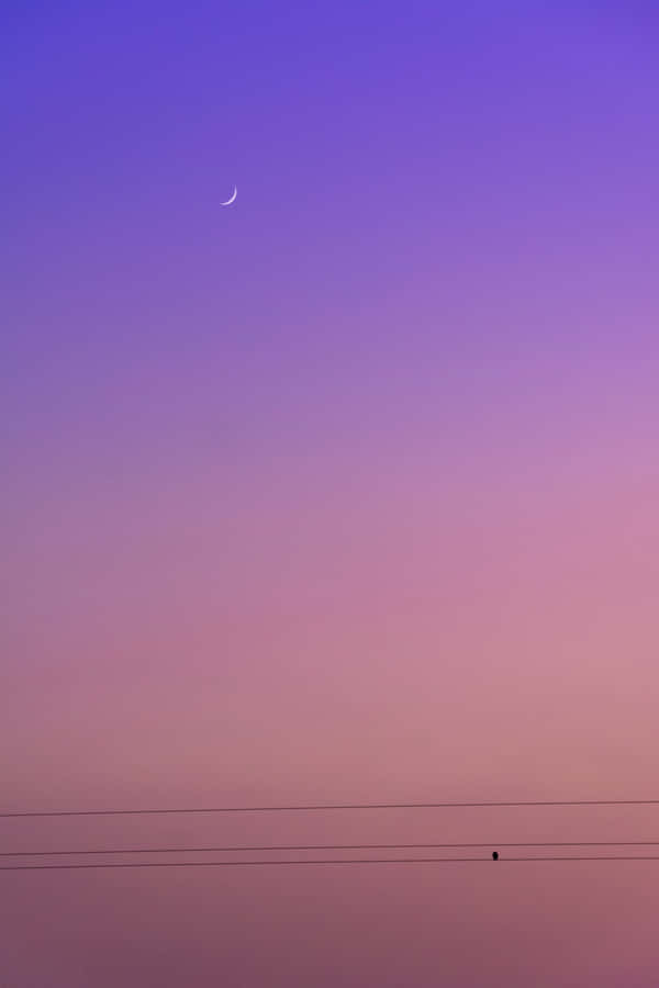 Mauve Skyline Crescent Moon Wallpaper