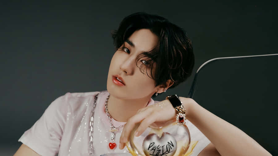 Maxident Album Concept Photo Wallpaper