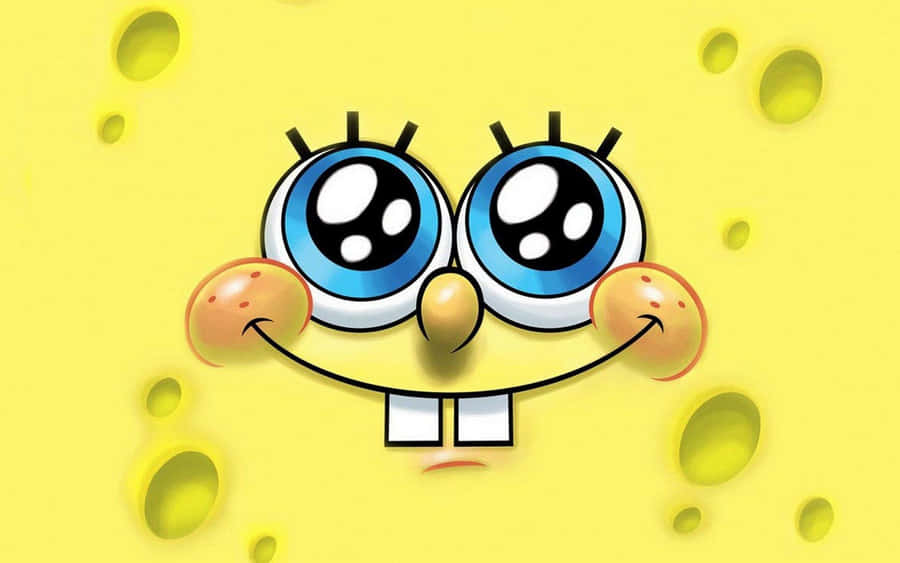Meet The Crazy Cast Of Spongebob Squarepants! Wallpaper