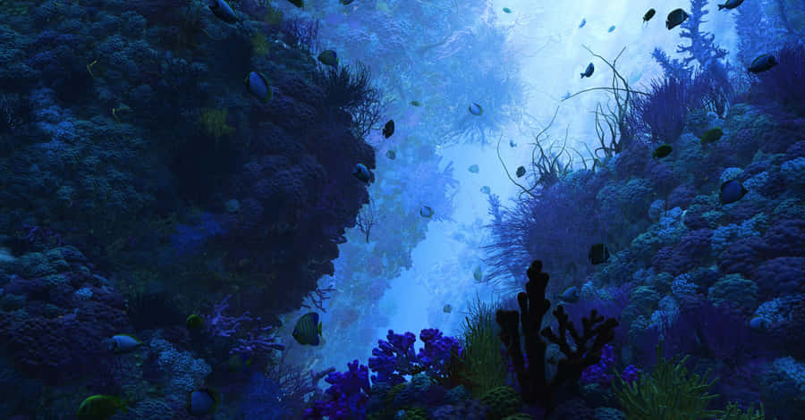 Mesmerizing 3d Ocean Rendering Wallpaper