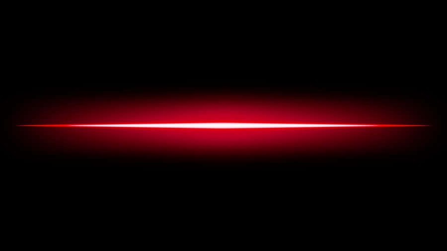 Mesmerizing Glow In The Dark Forest Wallpaper