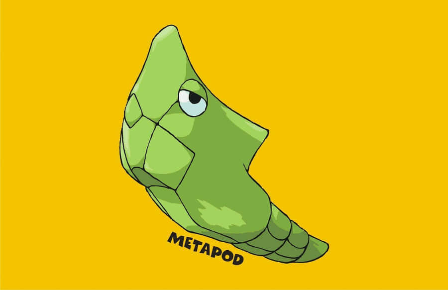 Metapod With Yellow Backdrop Desktop Wallpaper