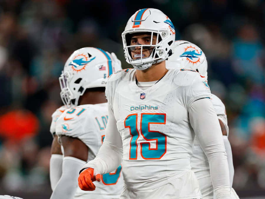 Miami Dolphins Player Number15 Wallpaper