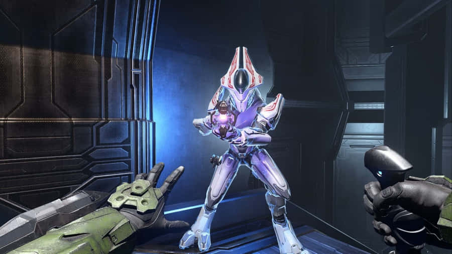 Mighty Sangheili Warrior In A Combat-ready Pose Wallpaper