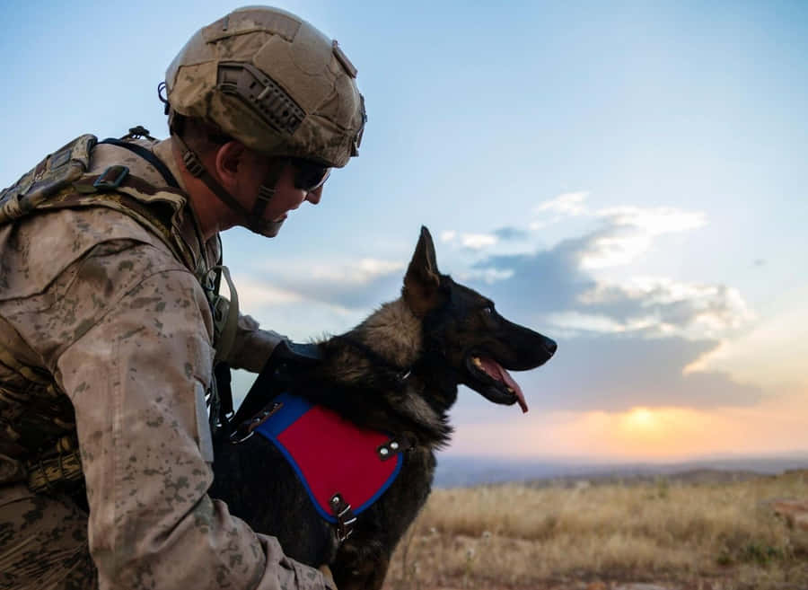 Military Handlerand Service Dogat Sunset Wallpaper