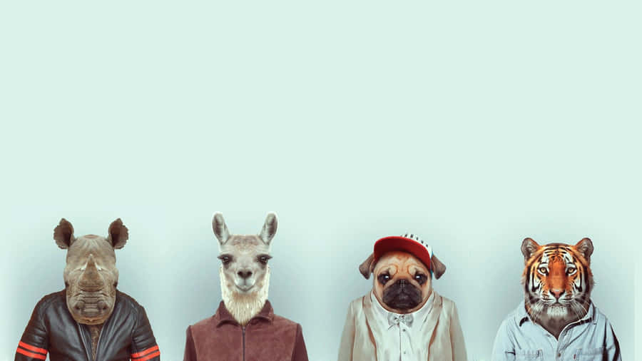 Minimalist Animal Art Featuring A Fox Wallpaper