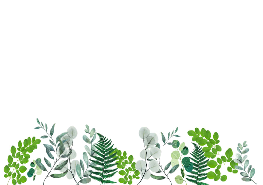 Minimalist Cute Plant Leaves Wallpaper