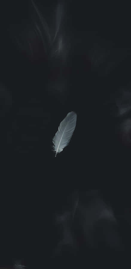 Minimalist Feather Dark Background Wallpaper